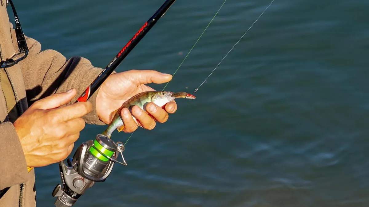 Spot Mancing Cilacap: Tempatnya untuk Menangkap Kenangan dan Ikan
